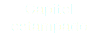 Capitel estampado