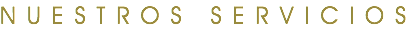 NUESTROS SERVICIOS